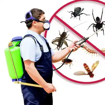 pest control Kindred